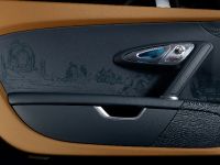 Bugatti Veyron 16.4 Grand Sport Vitesse Meo Costantini (2013)