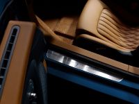 Bugatti Veyron 16.4 Grand Sport Vitesse Meo Costantini (2013)