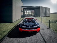 Bugatti Veyron 16.4 Grand Sport Vitesse Roadster (2012) - picture 5 of 6
