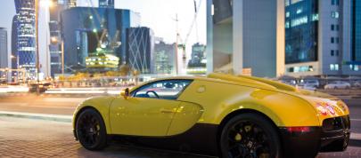 Bugatti Veyron 16.4 Grand Sport Special Edition (2012) - picture 12 of 14