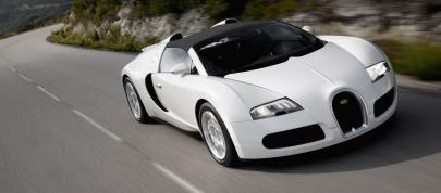 Bugatti Veyron 16.4 Grand Sport (2009) - picture 4 of 32