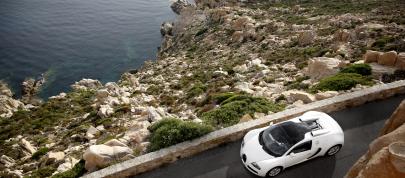 Bugatti Veyron 16.4 Grand Sport (2009) - picture 7 of 32