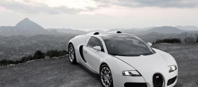 Bugatti Veyron 16.4 Grand Sport (2009) - picture 12 of 32