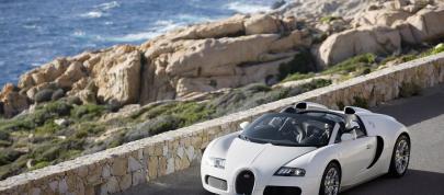 Bugatti Veyron 16.4 Grand Sport (2009) - picture 15 of 32