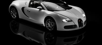 Bugatti Veyron 16.4 Grand Sport (2009) - picture 23 of 32