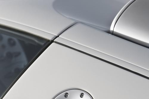 Bugatti Veyron 16.4 Grand Sport (2009) - picture 16 of 32