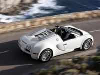 Bugatti Veyron 16.4 Grand Sport (2009)