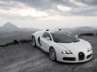 Bugatti Veyron 16.4 Grand Sport (2009) - picture 5 of 32