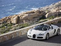 Bugatti Veyron 16.4 Grand Sport (2009) - picture 8 of 32