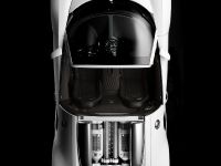 Bugatti Veyron 16.4 Grand Sport (2009)