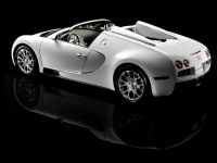 Bugatti Veyron 16.4 Grand Sport (2009)