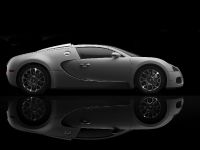 Bugatti Veyron 16.4 Grand Sport (2009) - picture 26 of 32