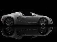 Bugatti Veyron 16.4 Grand Sport (2009) - picture 27 of 32