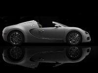Bugatti Veyron 16.4 Grand Sport (2009)