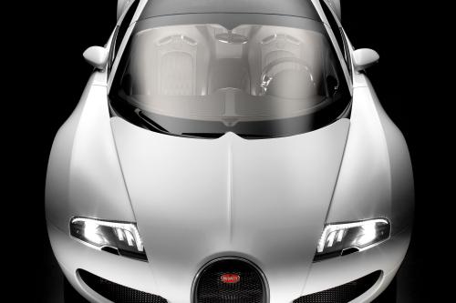 Bugatti Veyron 16.4 (2009) - picture 1 of 2