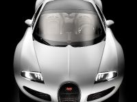 Bugatti Veyron 16.4 (2009) - picture 1 of 2