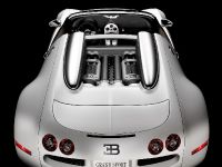 Bugatti Veyron 16.4 (2009) - picture 2 of 2