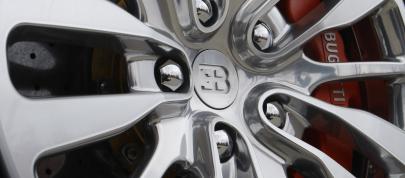 Bugatti Veyron Bleu Centenaire (2009) - picture 15 of 15