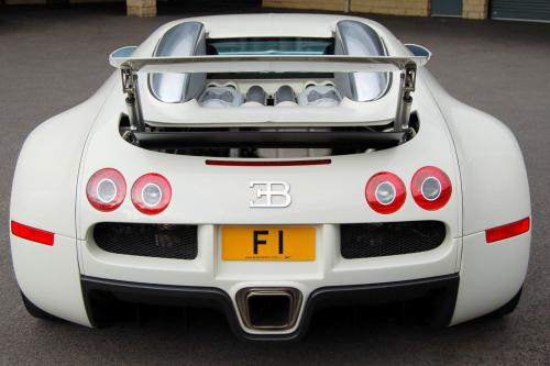 Bugatti Veyron F1 (2007) - picture 1 of 2