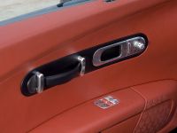 Bugatti Veyron Fbg par Hermes (2009)