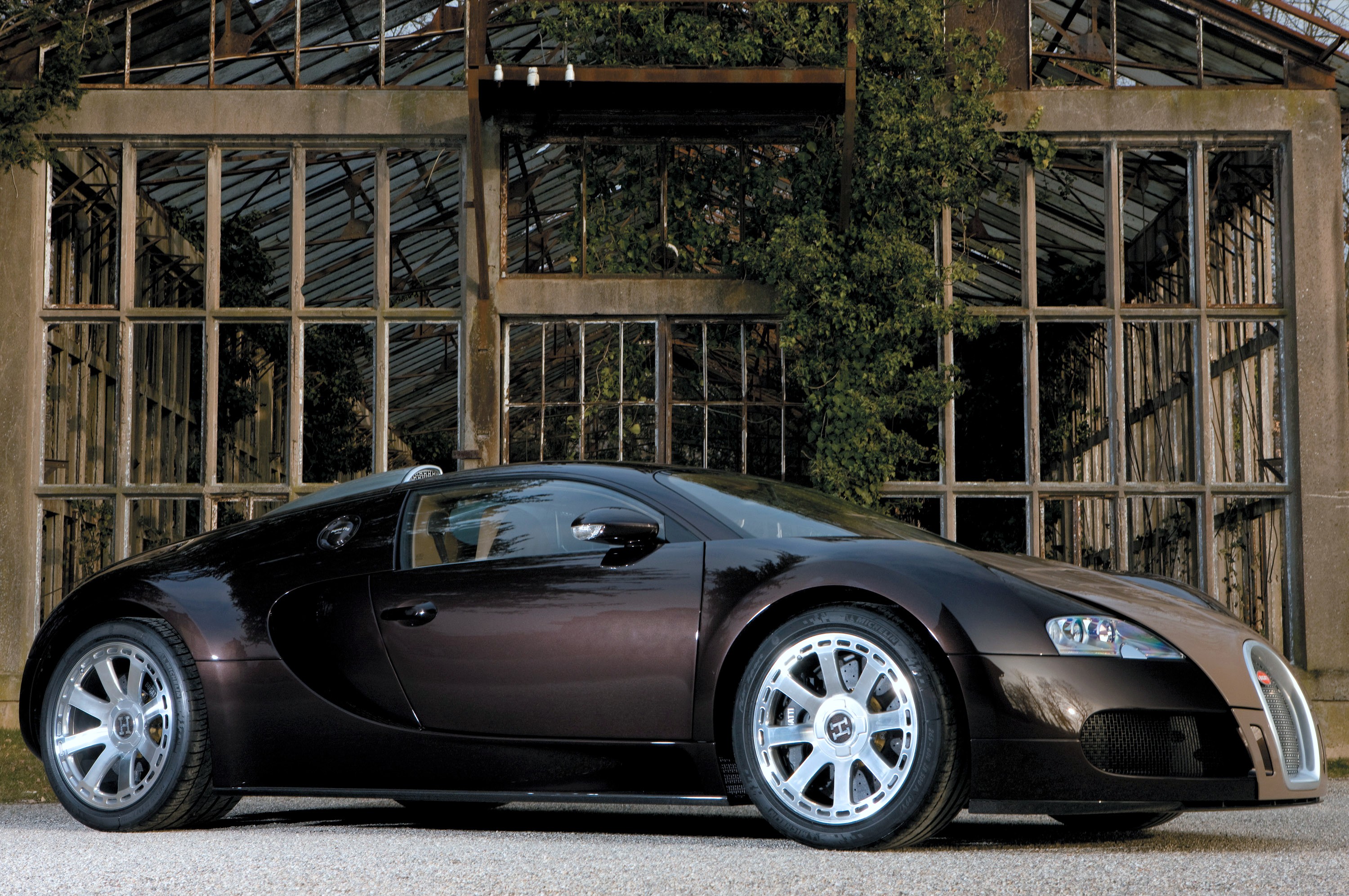 Bugatti Veyron Fbg