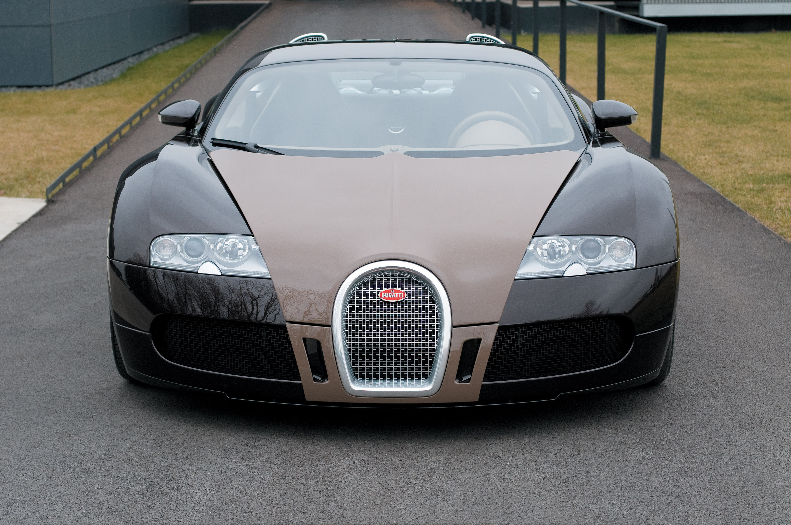 Bugatti Veyron Fbg