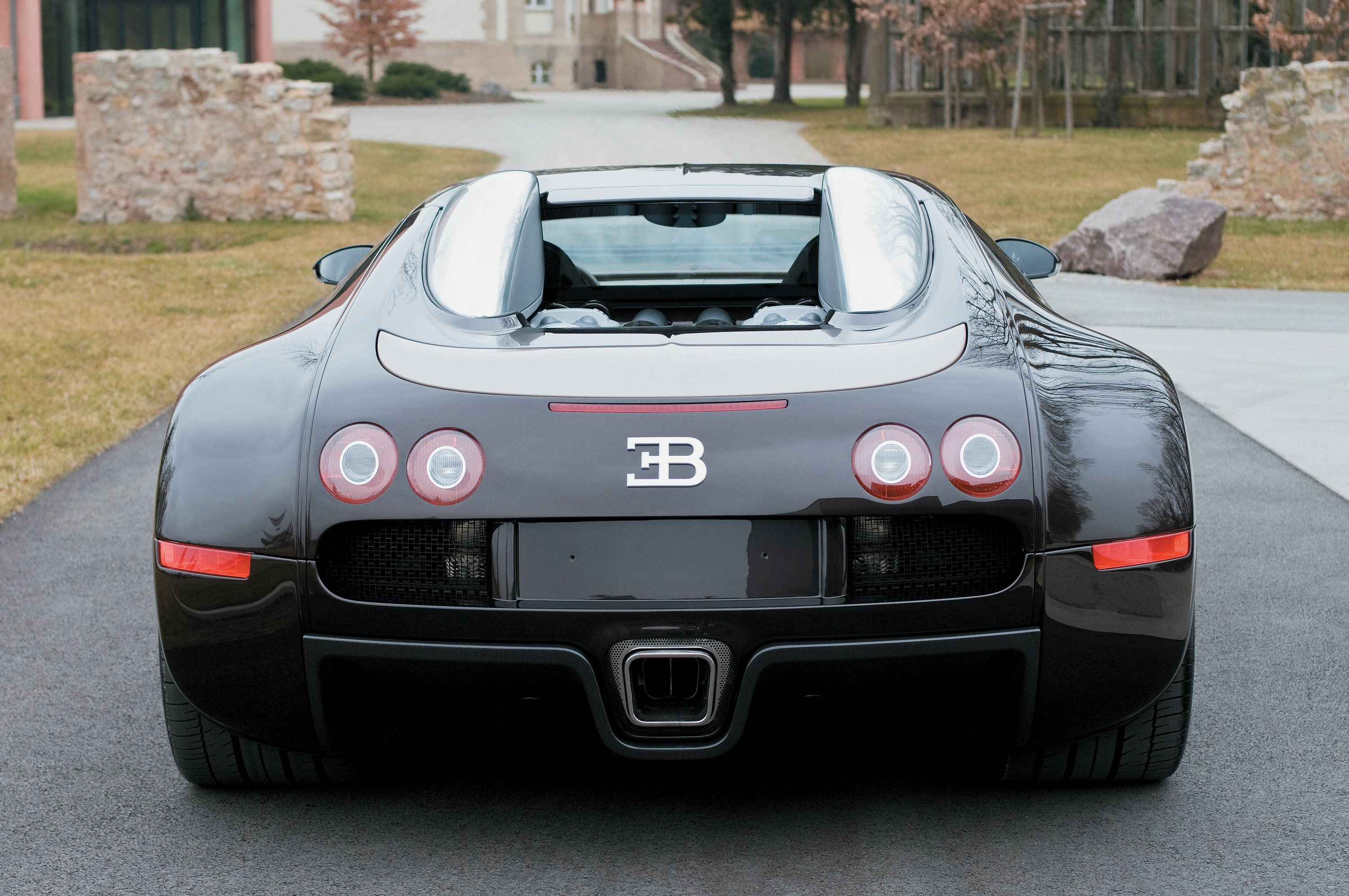 Bugatti Veyron Fbg