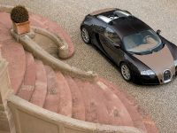 Bugatti Veyron Fbg (2008) - picture 3 of 19