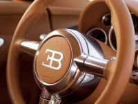 Bugatti Veyron Gold-colored (2009)