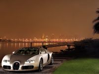 Bugatti Veyron Gold-colored (2009)