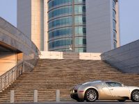Bugatti Veyron Gold-colored (2009)