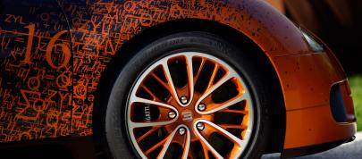 Bugatti Veyron Grand Sport Venet (2013) - picture 7 of 19