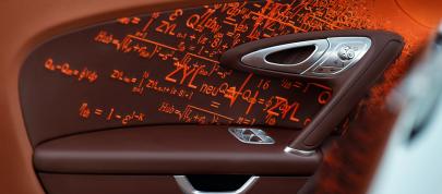 Bugatti Veyron Grand Sport Venet (2013) - picture 15 of 19