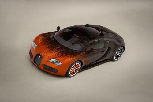 Bugatti Veyron Grand Sport Venet (2013) - picture 1 of 19