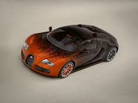 Bugatti Veyron Grand Sport Venet (2013) - picture 1 of 19