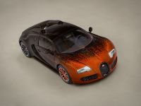 Bugatti Veyron Grand Sport Venet (2013)