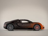 Bugatti Veyron Grand Sport Venet (2013) - picture 3 of 19