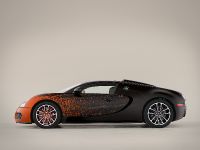 Bugatti Veyron Grand Sport Venet (2013) - picture 4 of 19