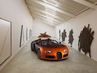 Bugatti Veyron Grand Sport Venet (2013) - picture 6 of 19