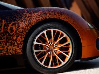 Bugatti Veyron Grand Sport Venet (2013) - picture 7 of 19