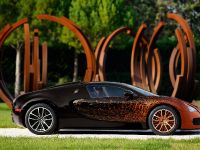 Bugatti Veyron Grand Sport Venet (2013) - picture 8 of 19