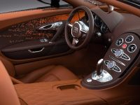 Bugatti Veyron Grand Sport Venet (2013) - picture 14 of 19