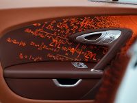 Bugatti Veyron Grand Sport Venet (2013)