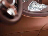 Bugatti Veyron Grand Sport Venet (2013) - picture 18 of 19