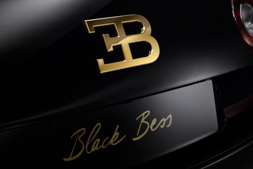 Bugatti Veyron Grand Sport Vitesse Black Bess (2014) - picture 9 of 19