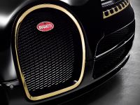 Bugatti Veyron Grand Sport Vitesse Black Bess (2014) - picture 5 of 19
