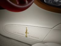 Bugatti Veyron Grand Sport Vitesse Black Bess (2014)