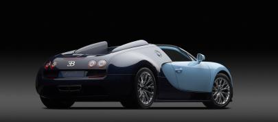 Bugatti Veyron Grand Sport Vitesse JeanPierre Wimille Edition (2013) - picture 4 of 20