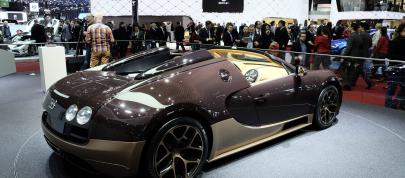 Bugatti Veyron Grand Sport Vitesse Rembrandt Geneva (2014) - picture 7 of 10