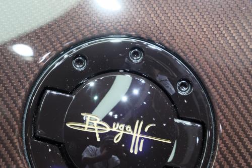 Bugatti Veyron Grand Sport Vitesse Rembrandt Geneva (2014) - picture 8 of 10